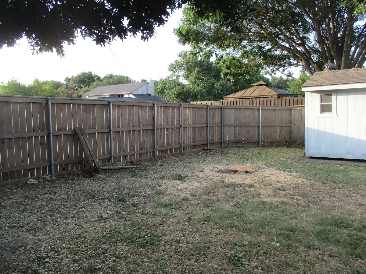 Cleared yard after professional tree removal in Pylesville